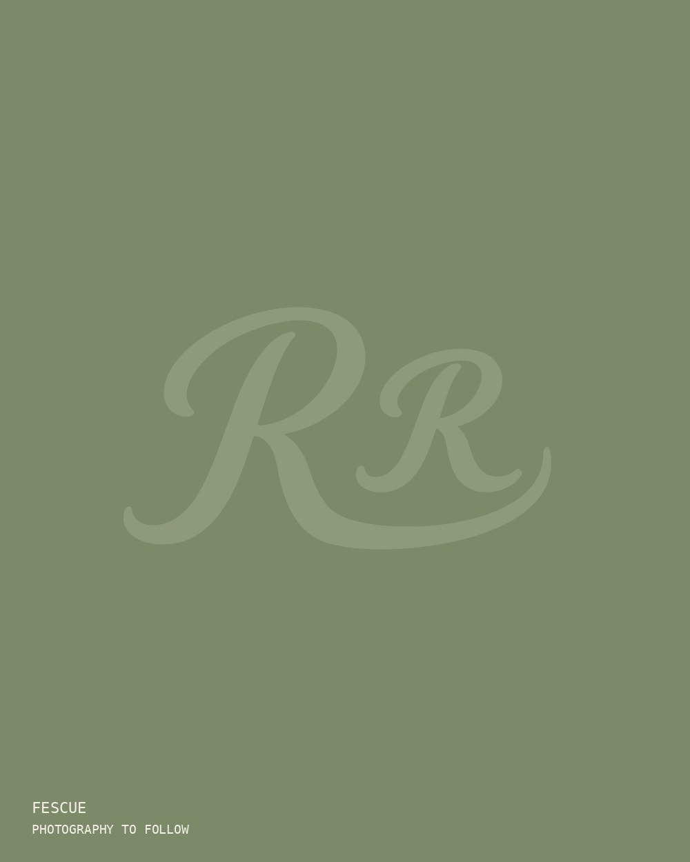 The Hoodie · Fescue